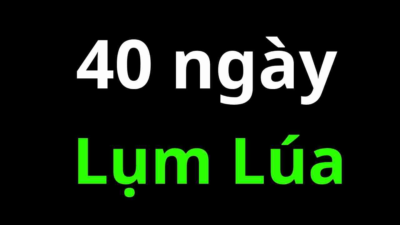 kết quả của học viên